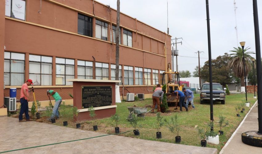 Inicia reforestación y embellecimiento en espacios públicos