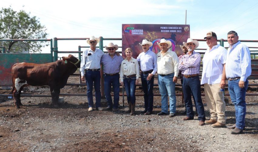 Primer concurso Regional «Becerro Gordo 2022»