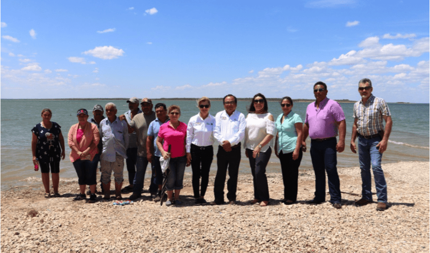 Siembran más de 150 mil crías de Tilapia